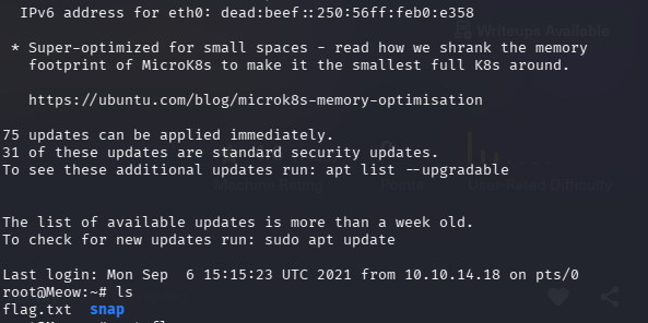 Successful root login via Telnet with blank password