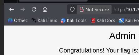 Successful login with admin/admin credentials, flag visible in the admin console