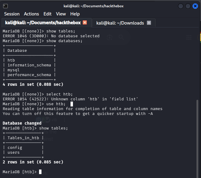 show tables output listing users and config tables