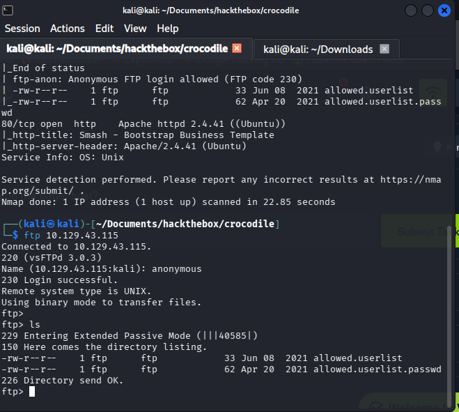 FTP directory listing showing two credential files